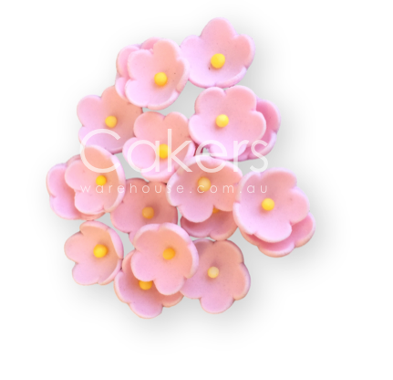 FORGET ME NOT PINK 20PC