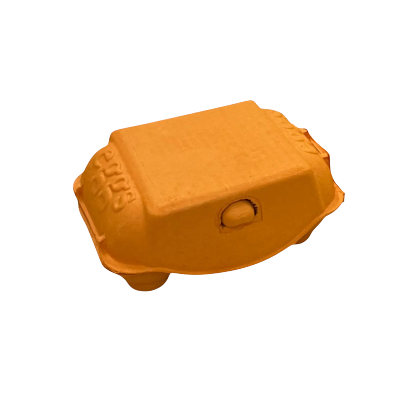 Egg Carton Orange