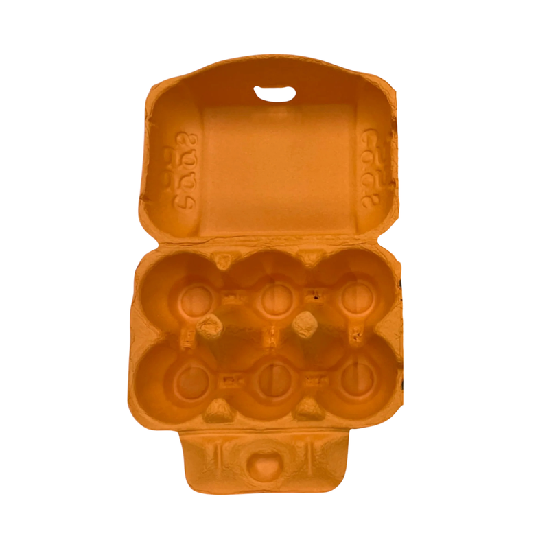 Egg Carton Orange