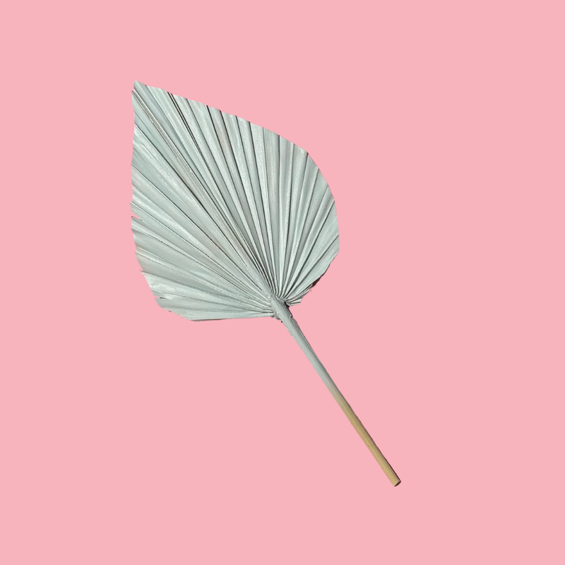 Dried Flower Spear Palm Angel Blue