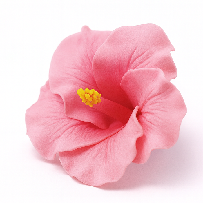 Hibiscus Medium Pink