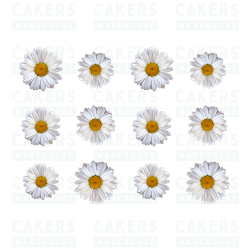 Edible Wafer Cupcake Toppers 12pc Delicate Daisies
