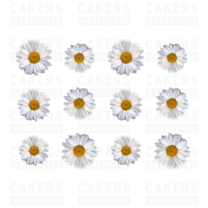 Edible Wafer Cupcake Toppers 12pc Delicate Daisies