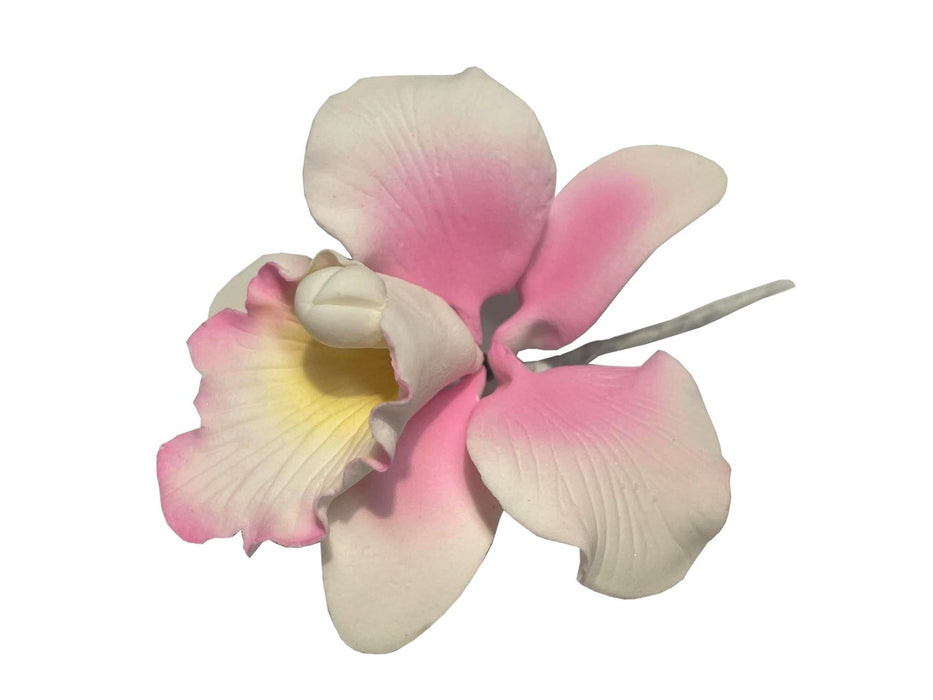 Orchid Small Pink