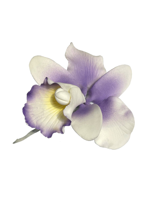 Orchid Small Purple
