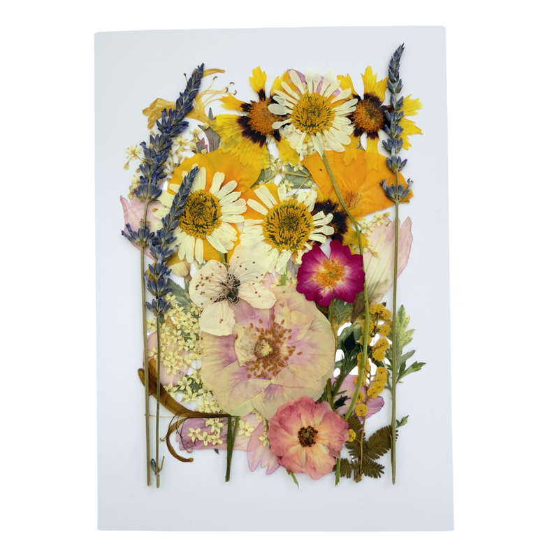 Pressed Flower Sheet