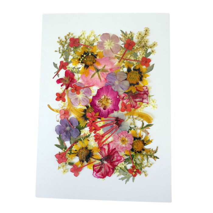 Pressed Flower Cookie/Cupcake Sheet