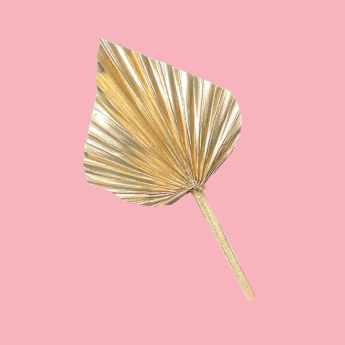 DRIED FLOWER SPEAR PALM GOLD