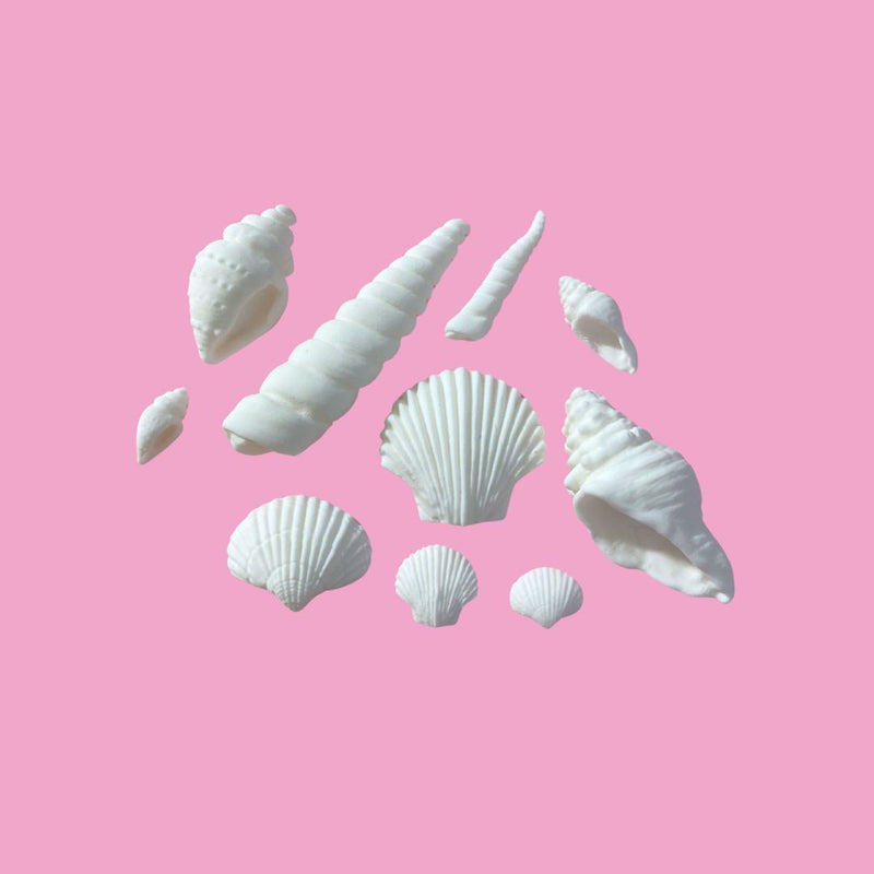 Fondant Seashells Small 10pc