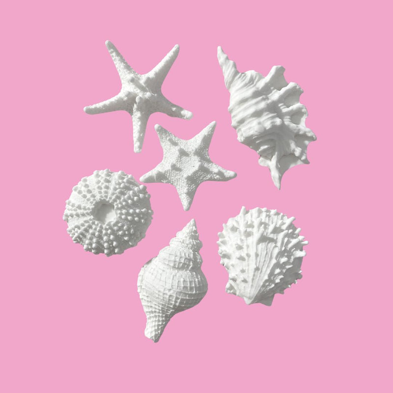 Fondant Seashells Large 6pc