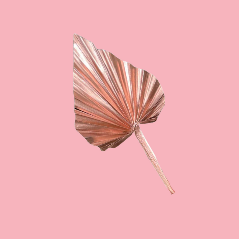 DRIED FLOWER SPEAR PALM ROSE GOLD