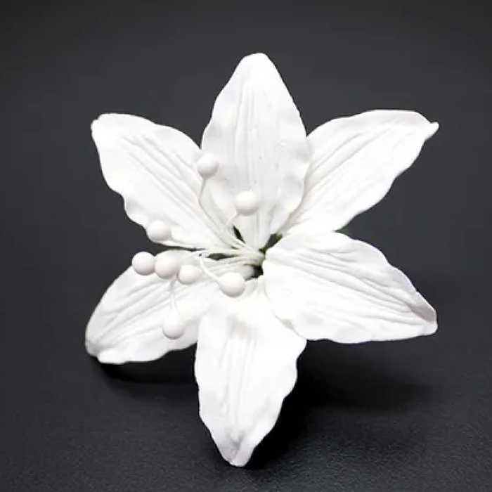 Lily Small White