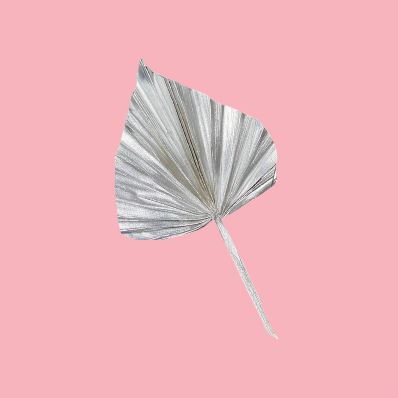 DRIED FLOWER SPEAR PALM SILVER