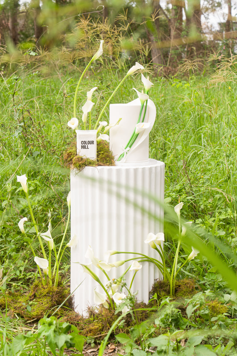 Decorators Dough White