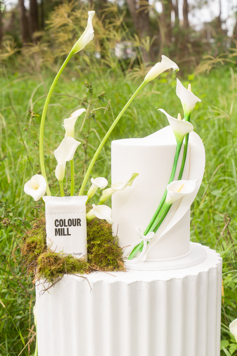 Decorators Dough White