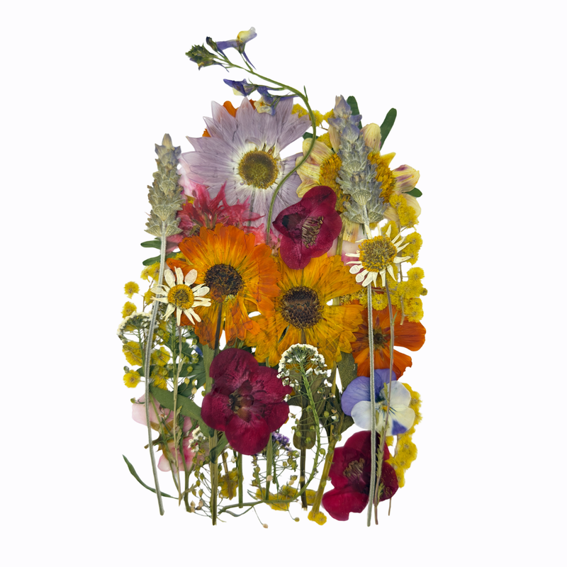 Pressed Flower Sheet