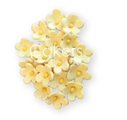 FORGET ME NOT LEMON 20PC