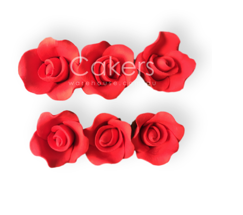 ROSE LARGE RED 6PC