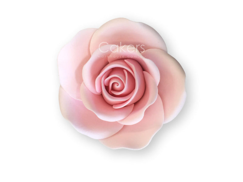 ROSE MEDIUM PINK