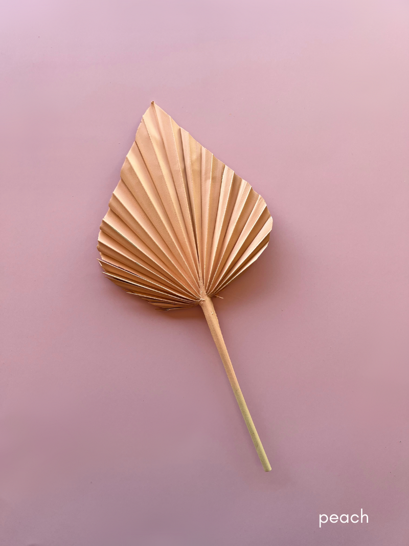 Dried Flower Spear Palm Spring Range
