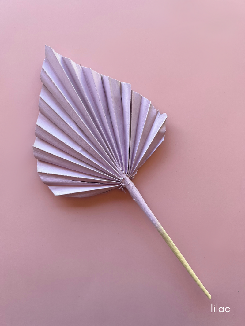 Dried Flower Spear Palm Spring Range