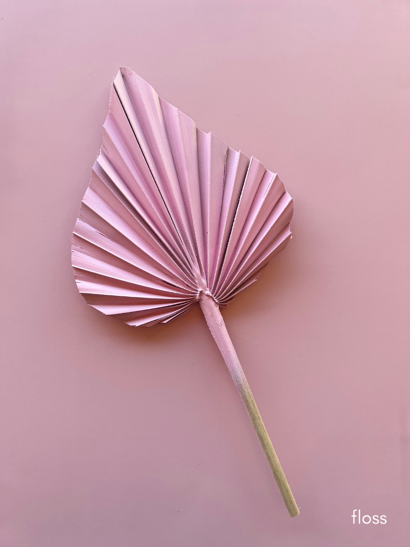 Dried Flower Spear Palm Spring Range