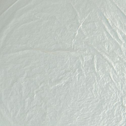 Lemon Gold Leaf Transfer 25pc