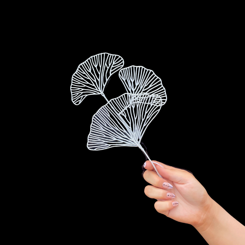 GINKGO LEAF STEM WHITE