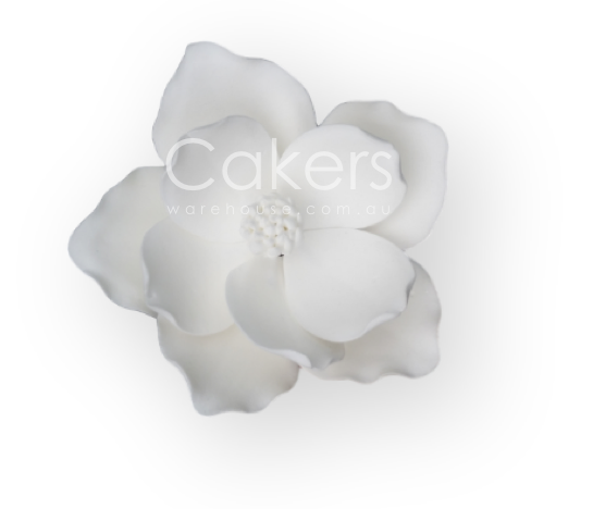 MAGNOLIA MEDIUM WHITE