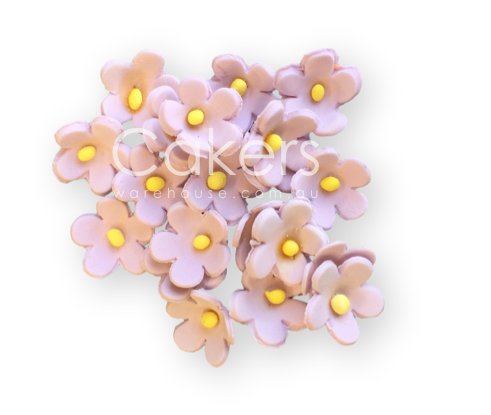 FORGET ME NOT LAVENDER 20PC