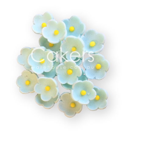 FORGET ME NOT SKY BLUE 20PC