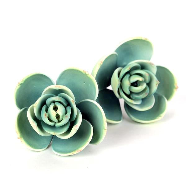 SUCCULENT SMALL GREEN 2PC