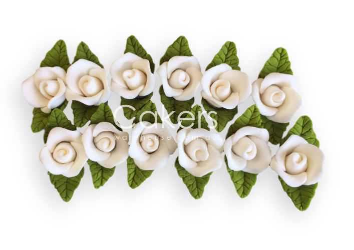 ROSE SMALL LEAF WHITE 12PC