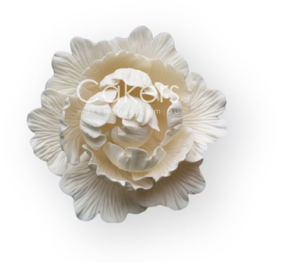 PEONY MEDIUM WHITE