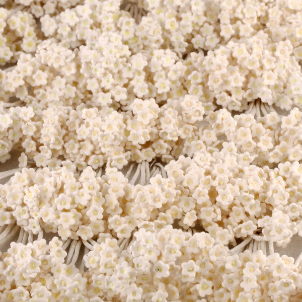 Babys Breath White 10pc