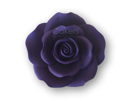 ROSE SMALL VIOLET