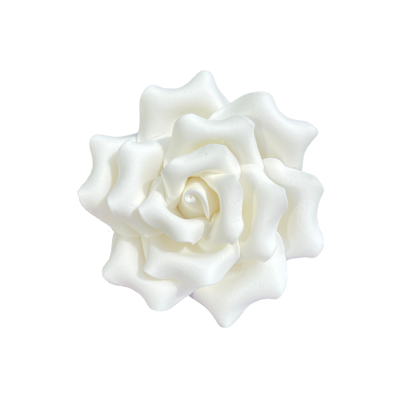 Special Rose White Large *Clearance*