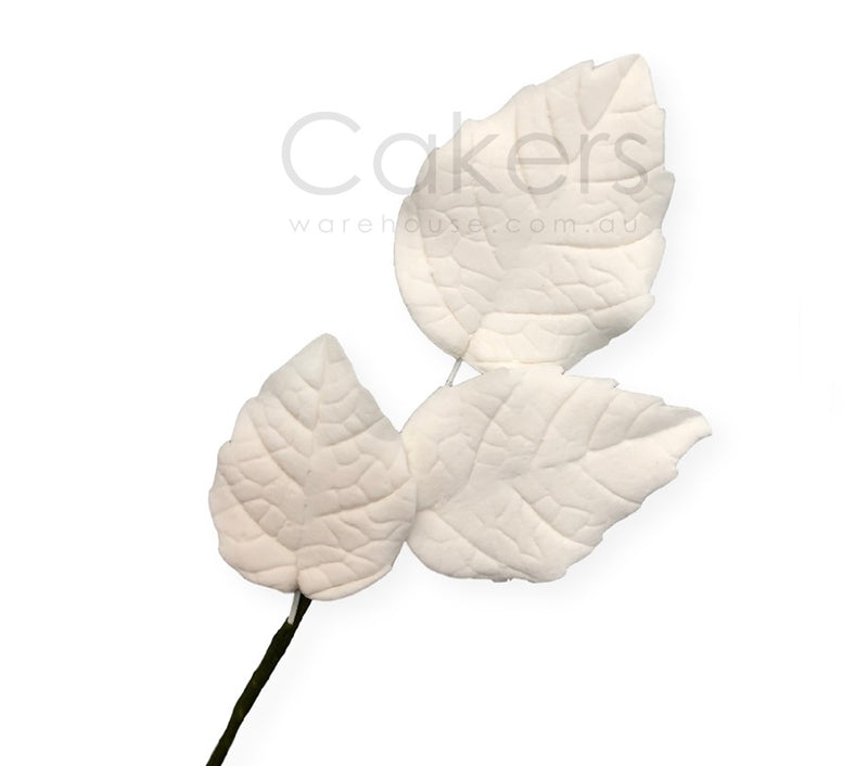 ROSE LEAF WHITE 1PC