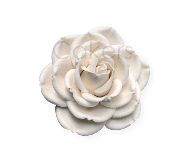 Christina Rose Large White * Clearance*