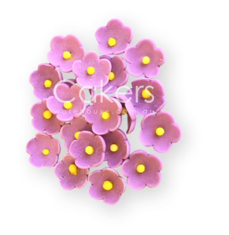 FORGET ME NOT MAUVE 20PC