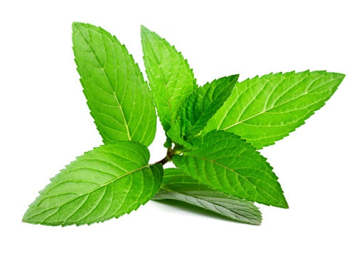 Natural Flavouring Peppermint 50mL *Clearance*