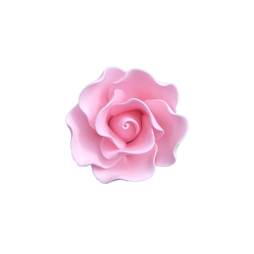 Blooming Rose Pink Medium