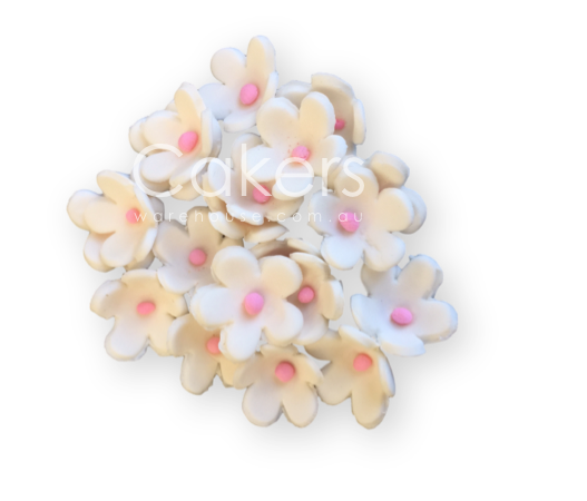 FORGET ME NOT WHITE PINK 20PC