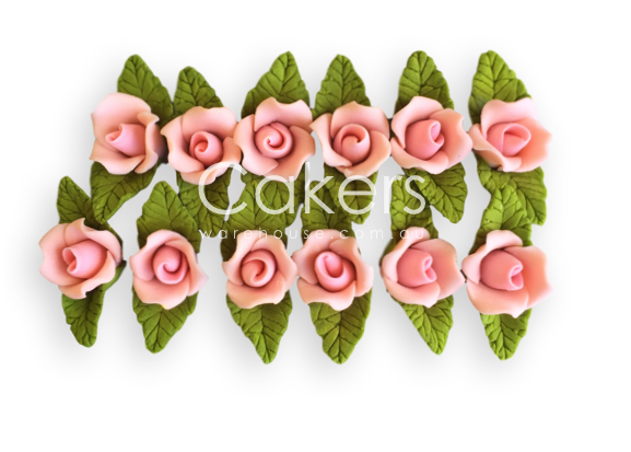 Rose Small Leaf Pink 12pc