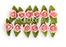 ROSE SMALL LEAF PINK 12PC