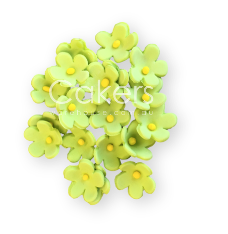 FORGET ME NOT LIME GREEN