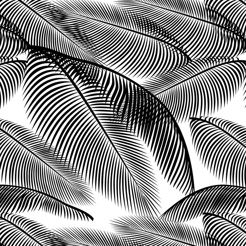 Mesh Stencil Catalina