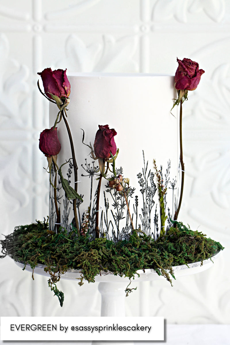 Mesh Stencil Evergreen