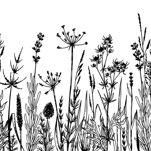 Mesh Stencil Evergreen