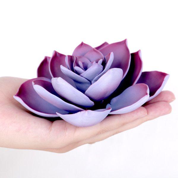 SUCCULENT MEDIUM VIOLET 1PC